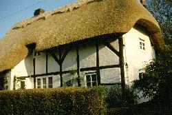 Camellia Cottage